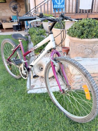 Bicicleta MCA/Magoan