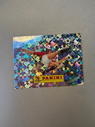 Cromo Panini Mundial 00