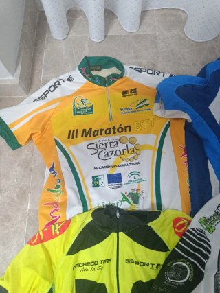 Lote maillots ciclismo varios
