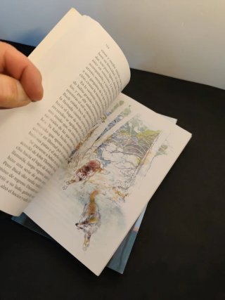 Libros escolares de lectura.