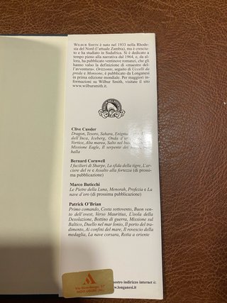 Orizzonte romanzo