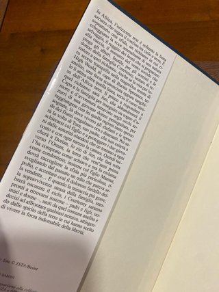 Orizzonte romanzo