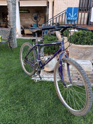 Bicicleta BH Missouri Morada