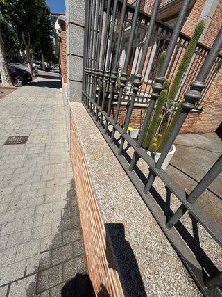 Limpieza y mantenimiento de Patios Y jardines.