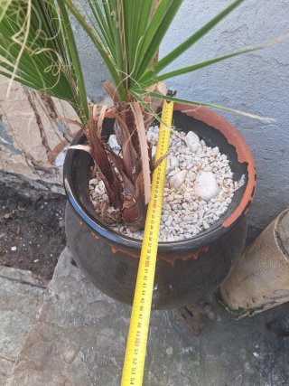 Maceta grande con pie de forja