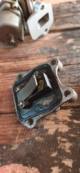 Carburatore Honda PX PXR 50