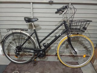 Bici Eléctrica Paseo XL 29 (Falta batería.)