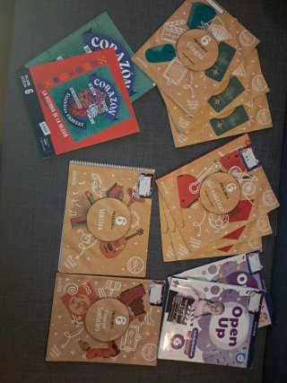 Lote de Libros 6to Grado de Primaria