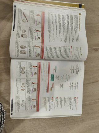 Geography & History 1º ESO. Student's book GENiOX
