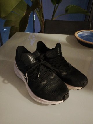 Nike Pegasus 36.5 Negro/Blanco
