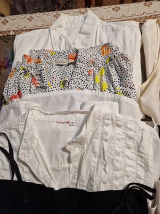 Lote 9 camisas y blusas talla S