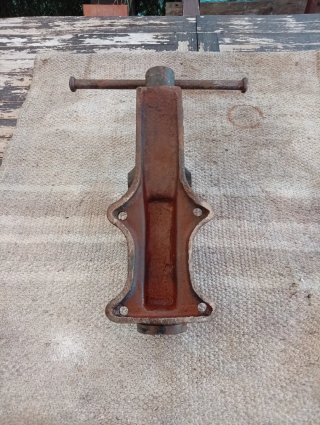 Tornillo ACESA 100