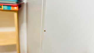 Armario BRIMNES de Ikea, 3 y espejo