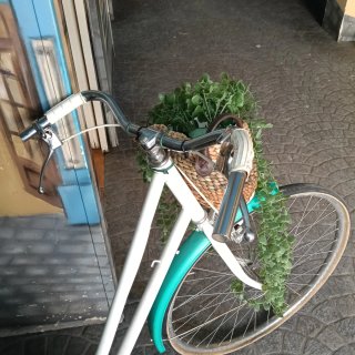 Bicicleta Vintage Clásica