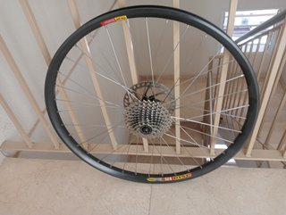 QR10, 26 x30 reforzada Mavic llanta trasera enduro