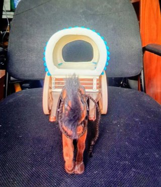 Carreta de juguete con caballo de peluche