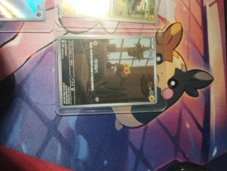Pack de cartas coreano Llama Blanca
