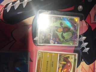 Pack de cartas coreano Llama Blanca