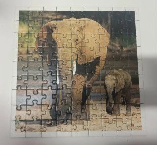 Lote 10 Puzzles Infantiles (64-104 piezas)