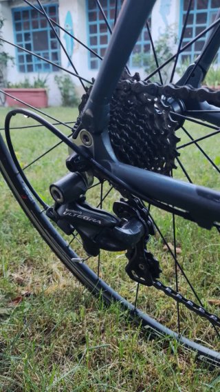 Bicicleta LOOK KG 461 Carbono Talla 53