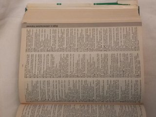 Il Nuovo Boch: Dizionario Francese Italiano Ita...