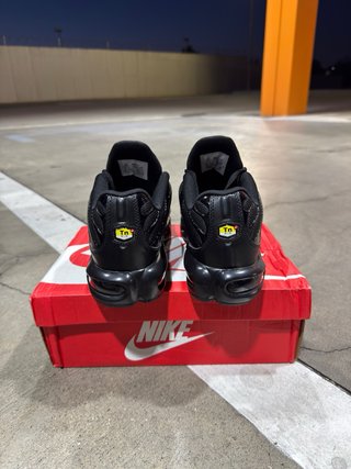 Nike Air Max Plus TN Negras
