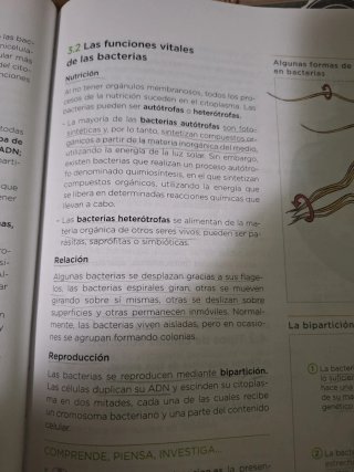 Biología y Geología, 4 ESO, Operación mundo