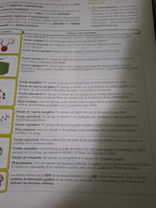 Biología y Geología, 4 ESO, Operación mundo