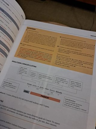Llatí, bachillerato