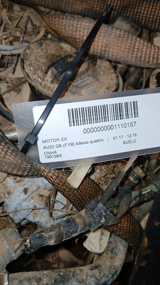 Motor Audi Q5 (FYB) Básico Quattro