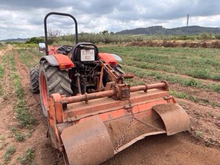 Rotovator Enguix VM 39