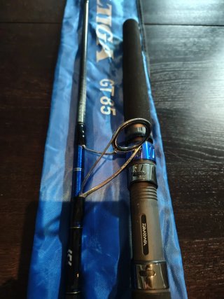 Caña de pescar Saltiga GT 85