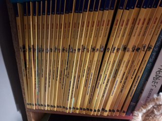 Geronimo Stilton English 30 libros +30 CD