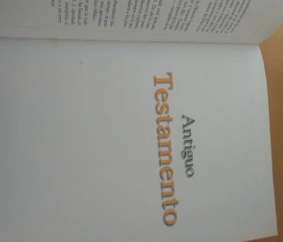 Biblia Infantil Ilustrada