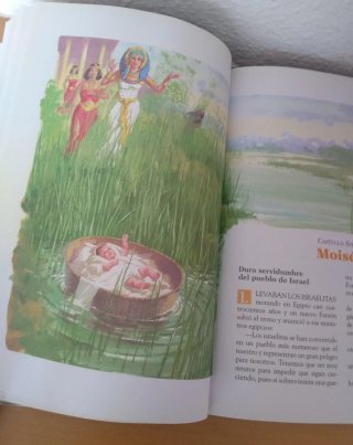 Biblia Infantil Ilustrada