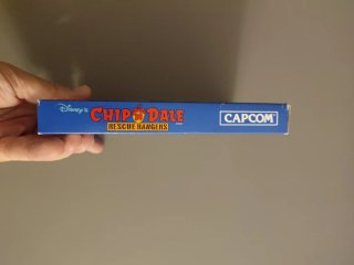 Nintendo nes Chip 'n Dale Rescue Rangers NES