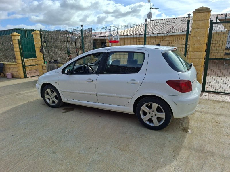 Peugeot 307 - foto 1