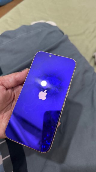 iPhone 13 Pro 256GB Dorado/Morado Con cargador