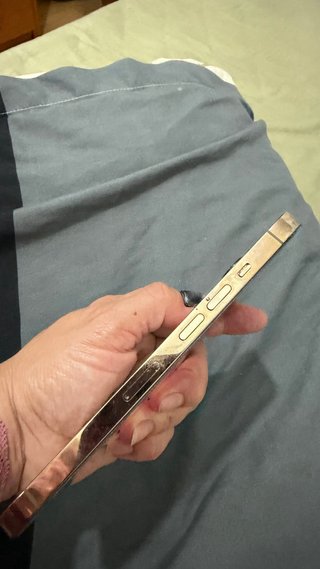 iPhone 13 Pro 256GB Dorado/Morado Con cargador