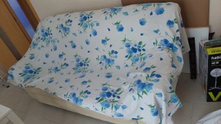 Sofá de piel beige 2 plazas