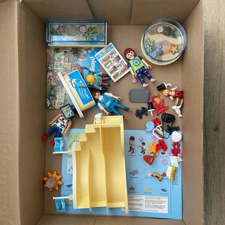 Playmobil Family Fun 9061 Acuario
