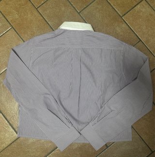 Miu Miu Purple Striped Shirt