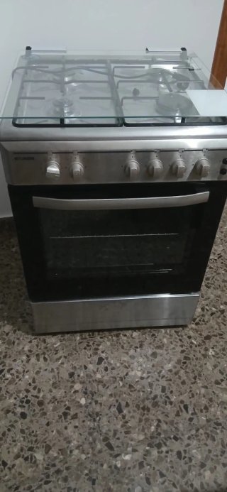 Horno de gas y eléctrico