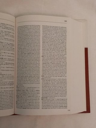 Dizionario di latino-italiano