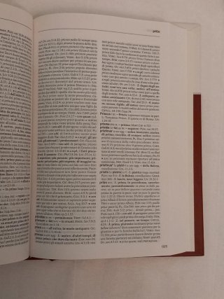 Dizionario di latino-italiano