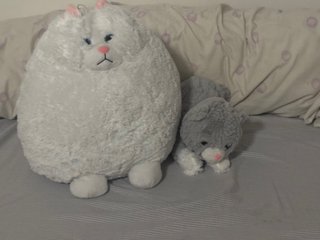 Peluche gato blanco y gris