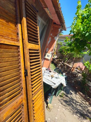 Servicio de Pintura Profesional