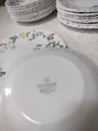 Set piatti Arcopal floreale