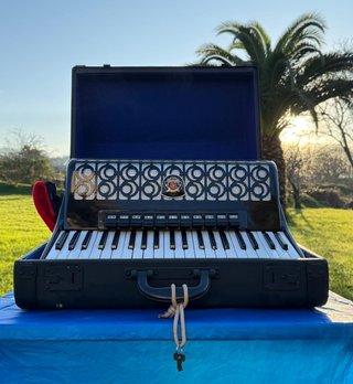 Fisarmonica Royal Standard Montana 120 Bassi