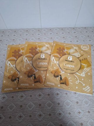 Lingua, 6 Primaria, Operación mundo